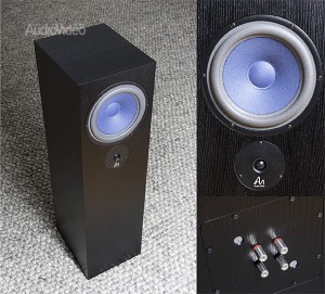 Audio_Note_AZ2_D_speaker_-_UK_колонки